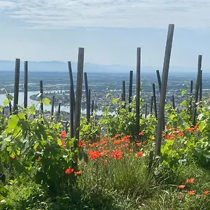 joli-gite-ardechois.hotels-rhonealpes.com/